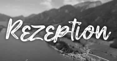Rezeption (Besetzt)